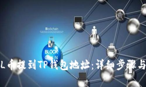 如何将FIL币提到TP钱包地址：详细步骤与注意事项