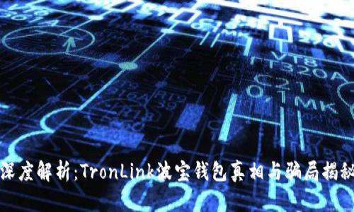 深度解析：TronLink波宝钱包真相与骗局揭秘